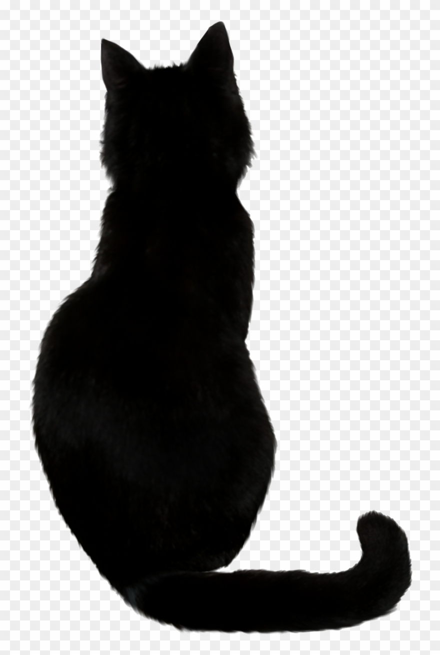 Black Cats Png - Cat Halloween Silhouette Clipart