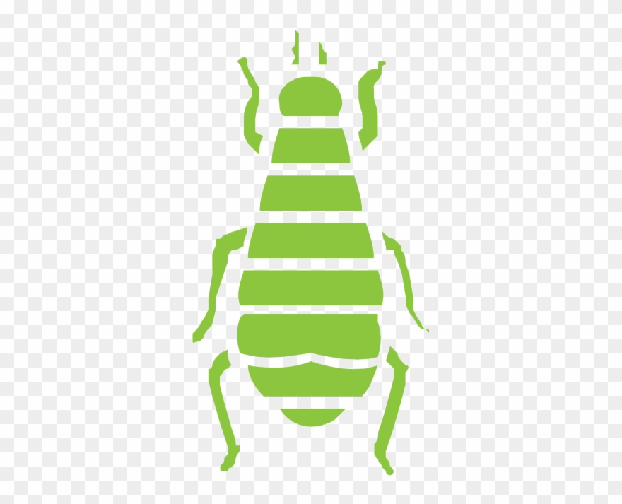 Fleas - 木 蝨 天敵 Clipart