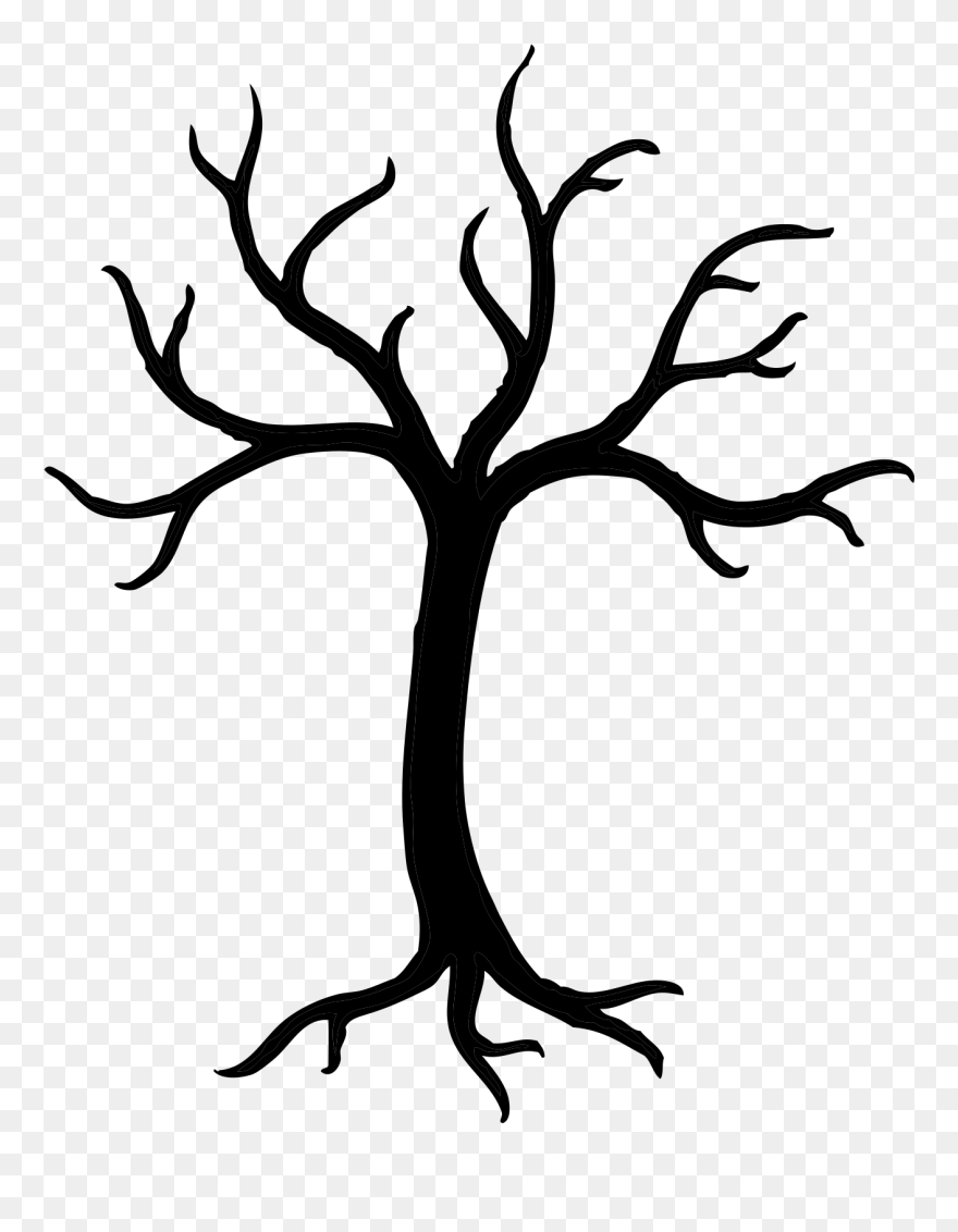 Clip Art Transprent Png Free Line Plant - Tree Clip Art Black And White No Leaves Transparent Png