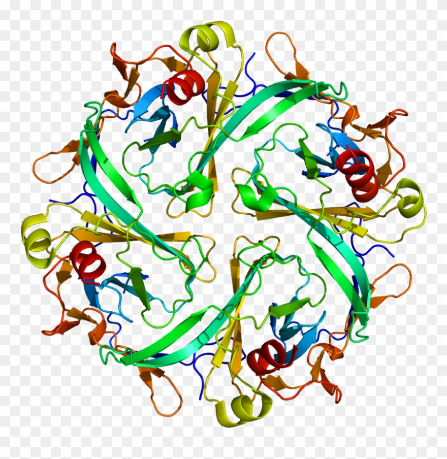 Illustration Clipart