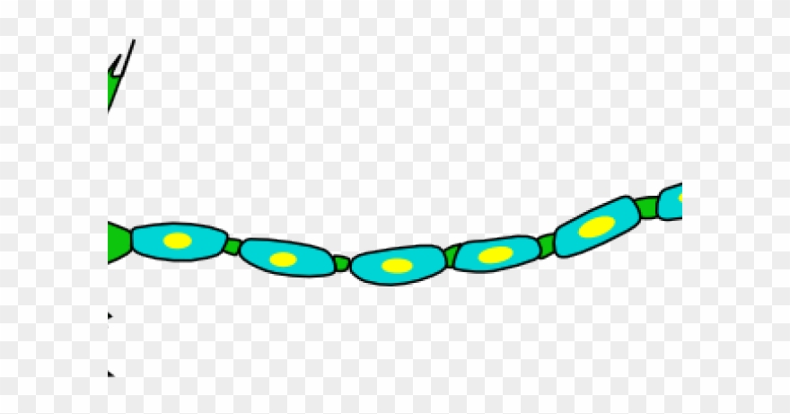 Neuron Clipart Clip Art - Png Download