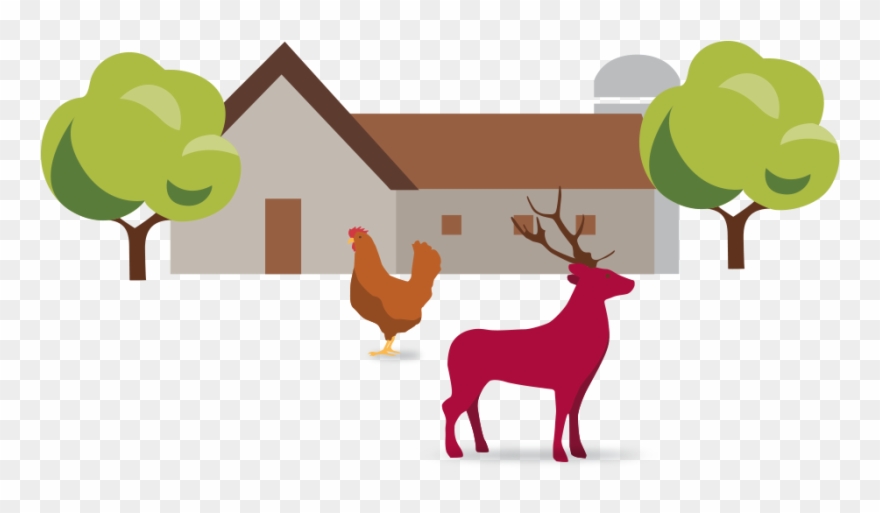 Farm Clipart