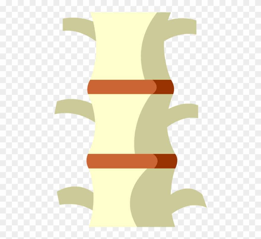 Vertebrates - Illustration Clipart