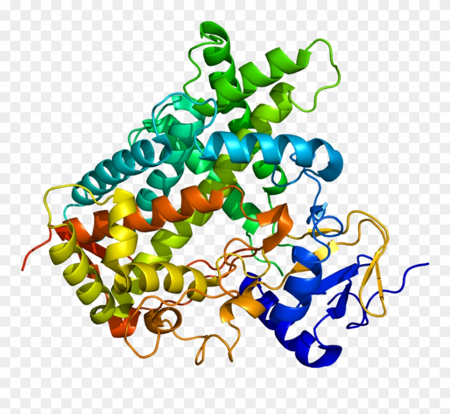 Cyp C Wikipedia - Cyp450 Crystal Structure Clipart