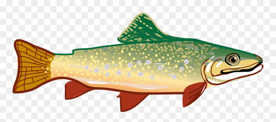 Picture Of Milk Picture Of Meat Picture Of Fish - Trout Clipart - Png Download