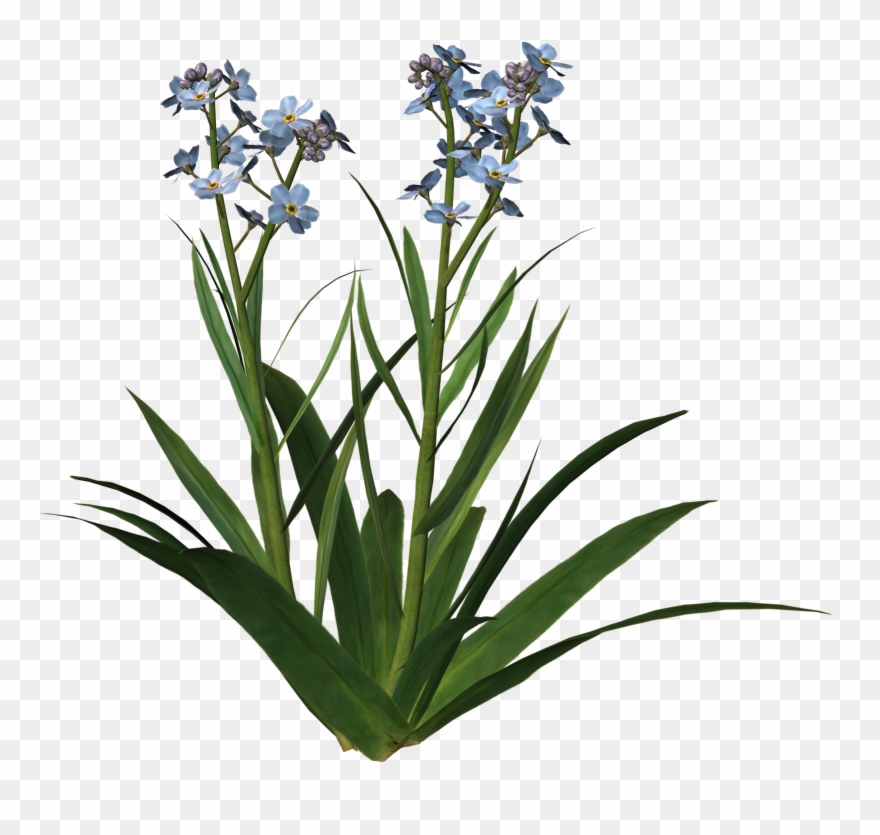 Misc Png Clip Art - Clip Art Transparent Png