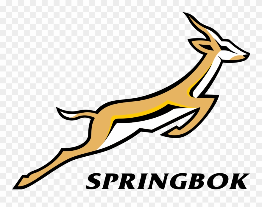 Spread The Madness - South Africa Rugby Logo Clipart