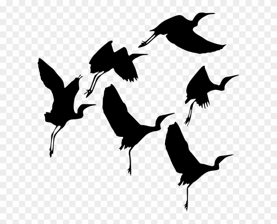 Flight Silhouette At Getdrawings Com Free For - Vector Graphics Clipart