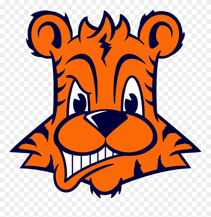 T - G - I - F - Shop - Fashion Clipart