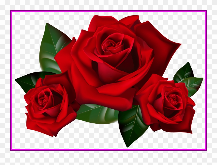 Appealing Bouquet Of Frame Clipart Kid Rose Art Image - Розы Пнг - Png Download