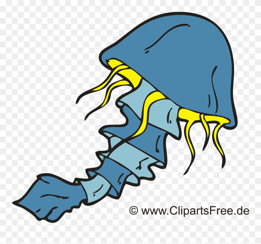 Maneter Utklipp, Bilde, Bilde, Illustrasjon - Qualle Clipart - Png Download