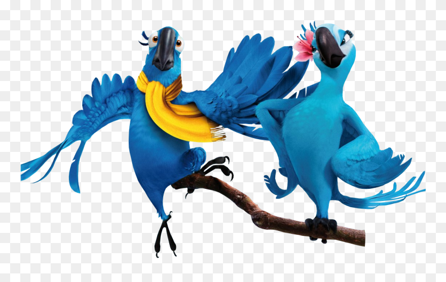 Rio Png Transparent Picture Png Icons - Rio Blu X Jewel Clipart