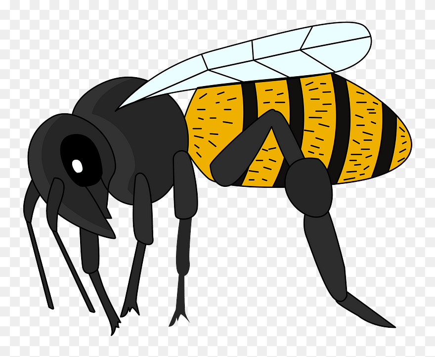 Biene Clipart - Bee Cliparts - Png Download