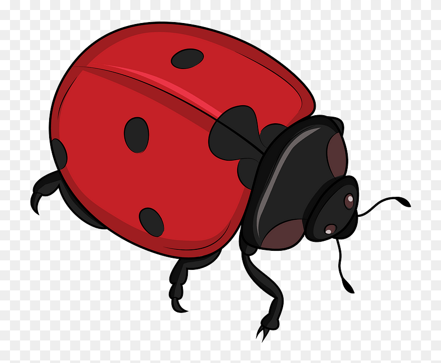 Ladybug Clipart - Ladybug - Png Download