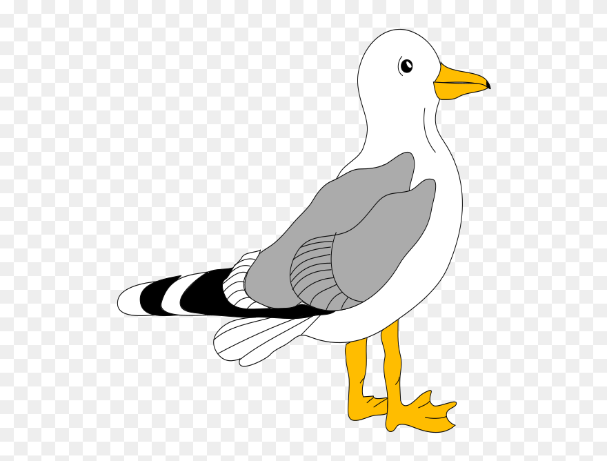 Seagull Cartoon Clipart