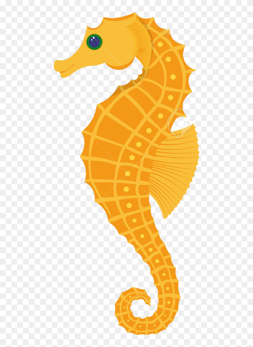 Seahorse Vector Illustration Clipart