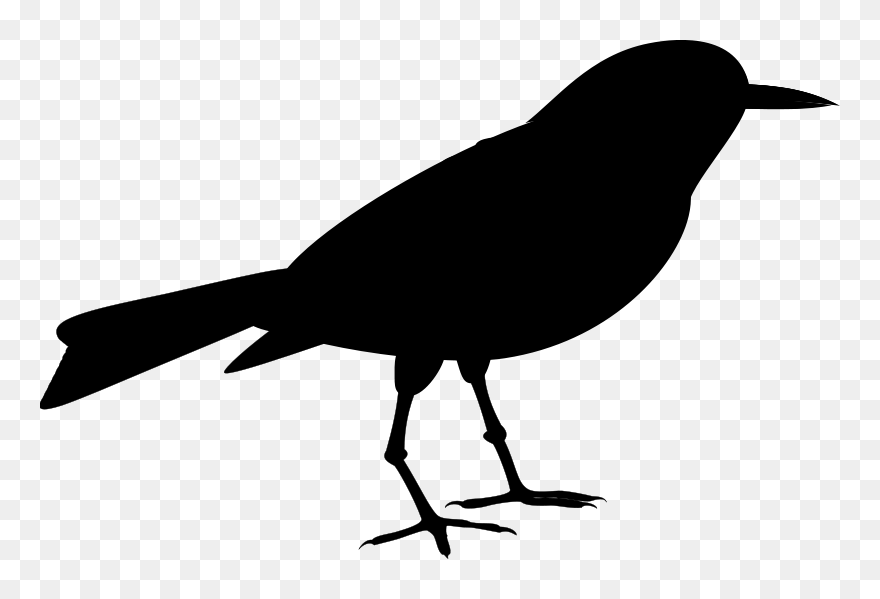 American Crow Clip Art Fauna Silhouette Common Raven - Png Download