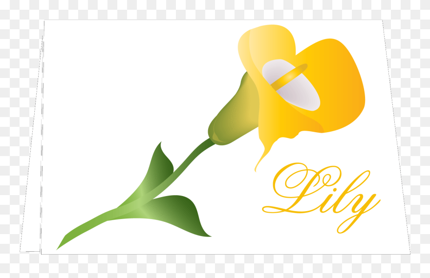 Calla Lily Floral Notes Personalized Clipart