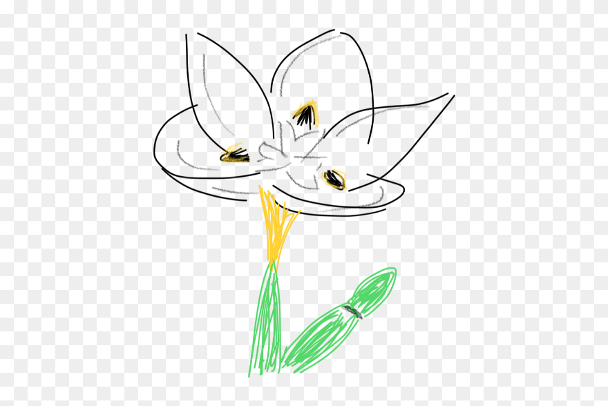 Illustration Clipart