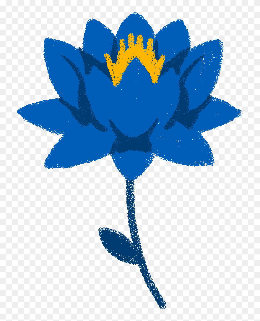 Blue Water Lily - Sacred Lotus Clipart
