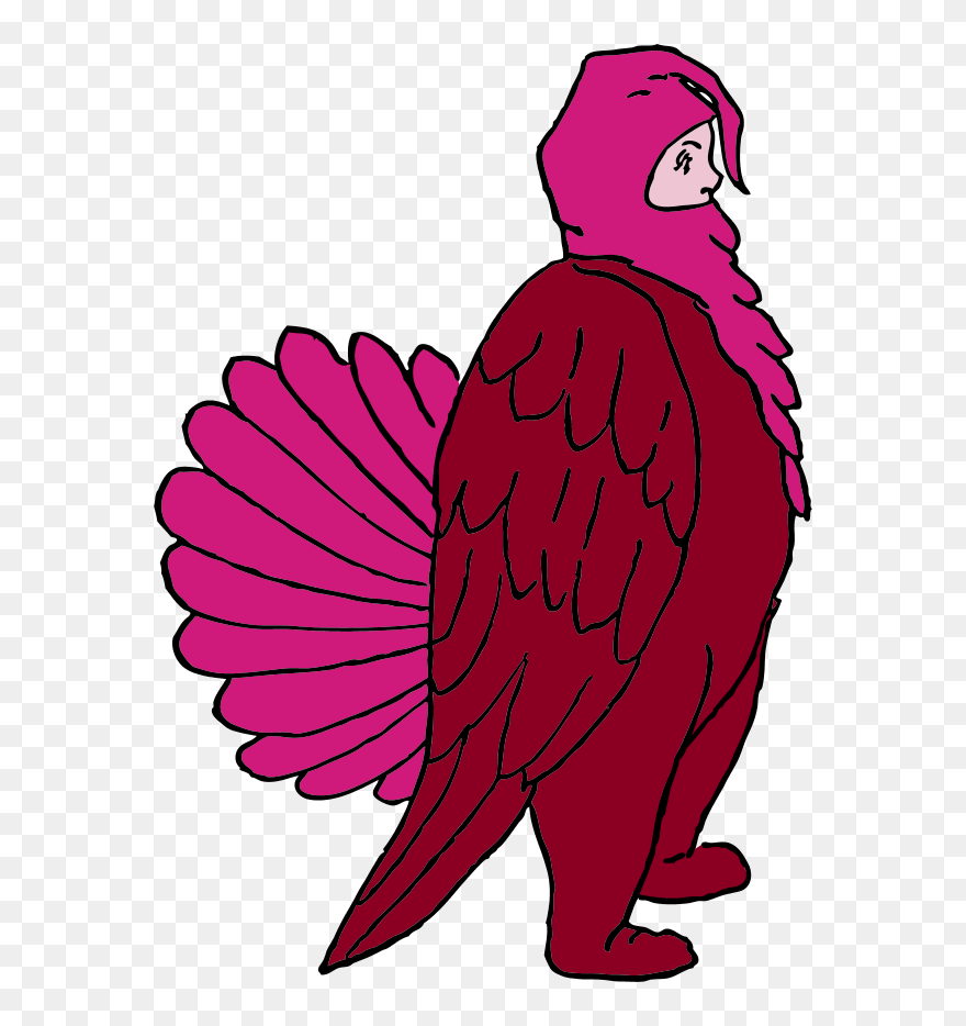 Boy Wearing Chicken Suit - Turkey Costume Transparent Clipart