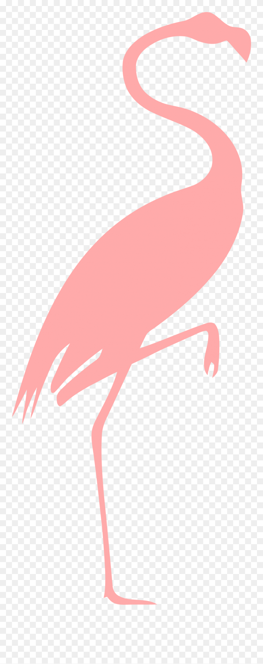 Clip Art Pink Flamingo - Png Download