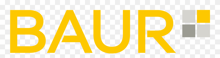 Baurs логотип. дрожу baur. Dj baur фото. Baur mixshow. Baur mixshow.