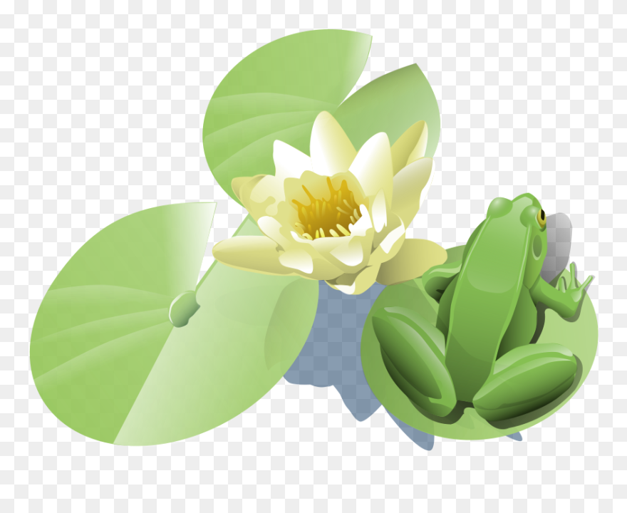 Frog On A Lily Pad Clipart, Vector Clip Art Online, - Frog Lily Pad Clip Art - Png Download