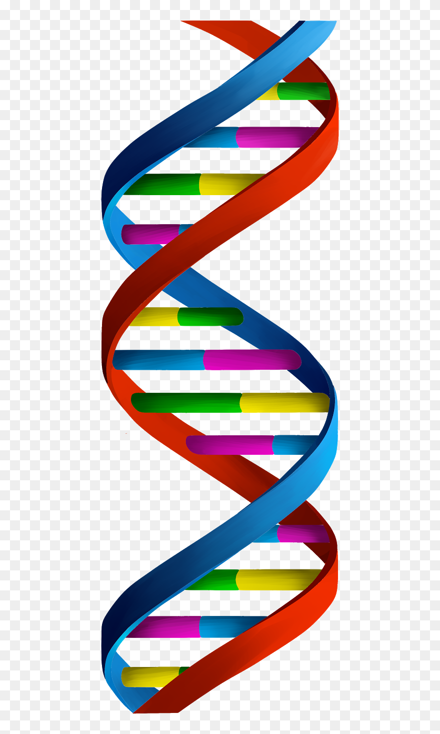 Molecular Biology Clipart - Dna - Png Download