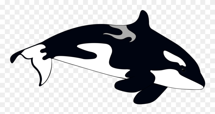 Illustration Clipart