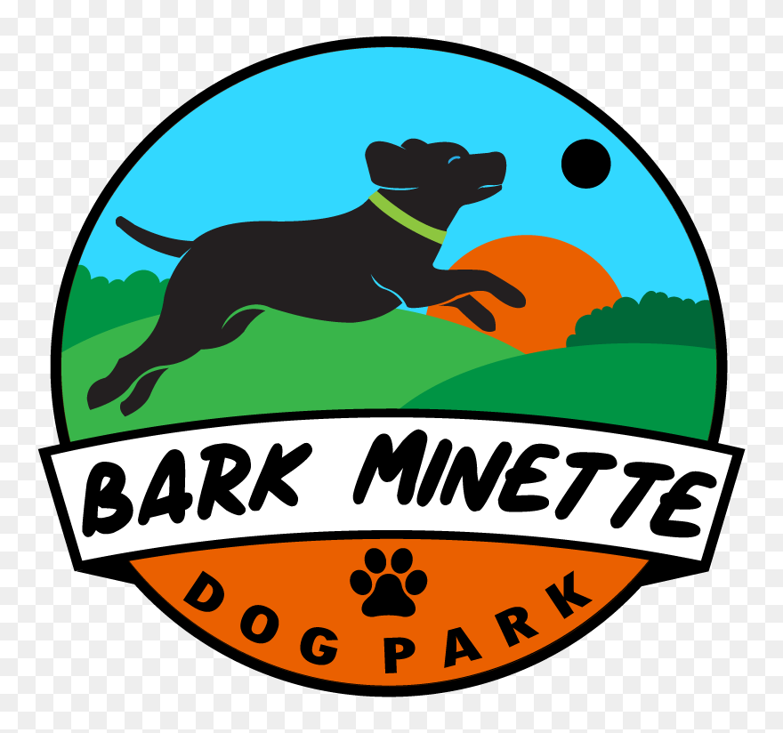 Dog Catches Something Clipart