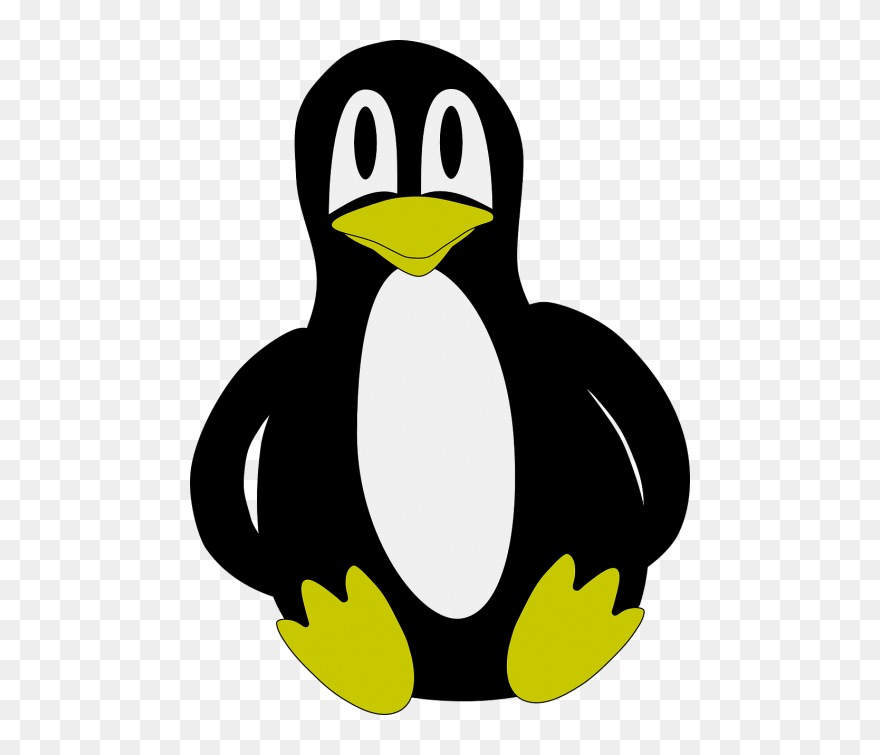 Penguin Flightless Bird Antarctic Bird - Penguin Clip Art - Png Download