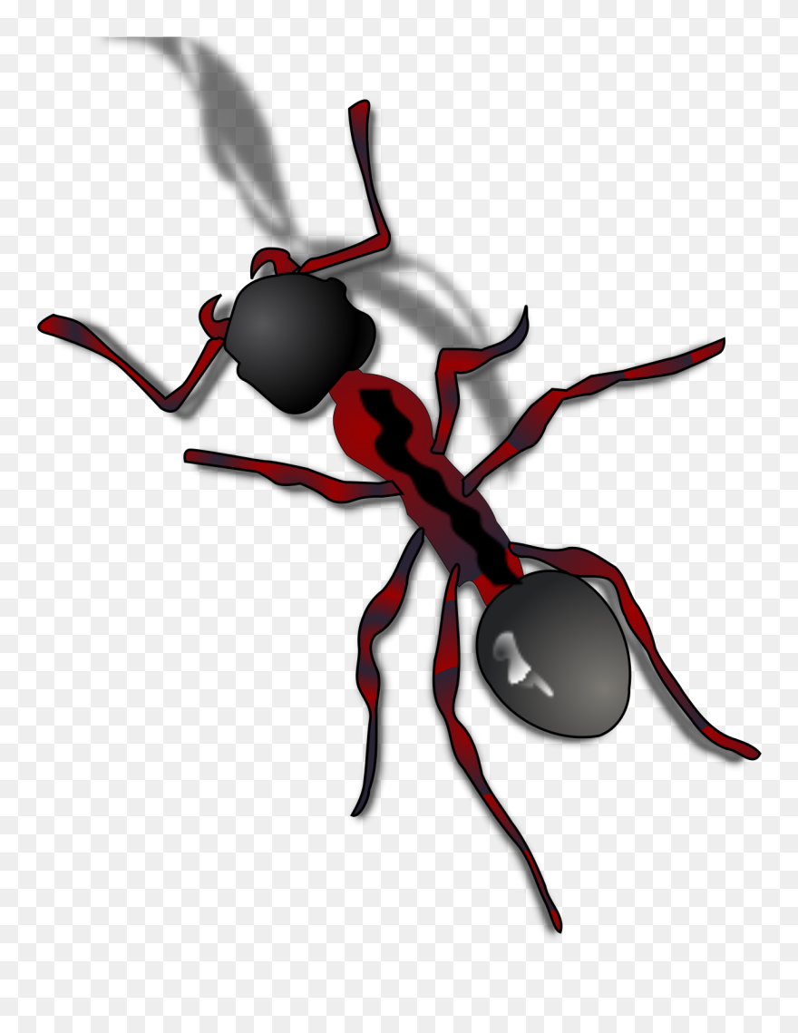 Cartoon Ants Transparent Background Gif Clipart