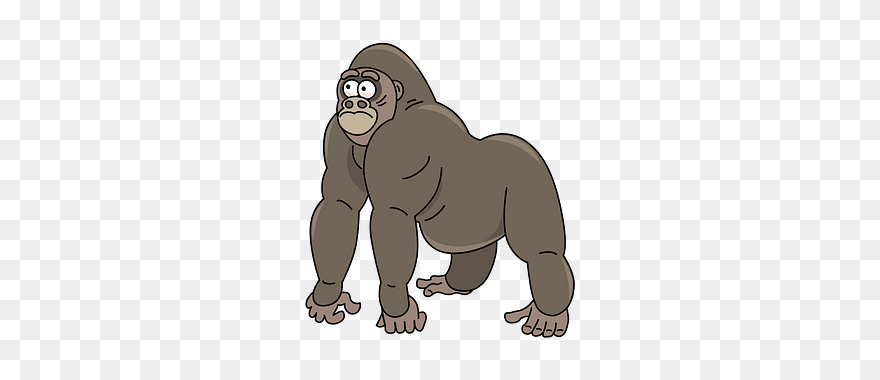 Gorilla Clipart - Png Download