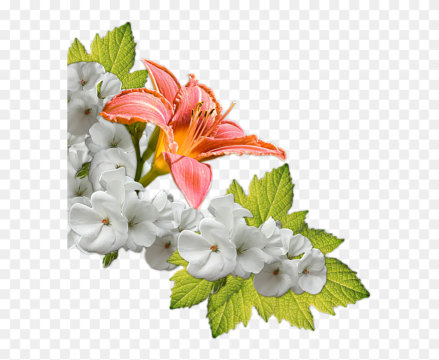 Composizione Fiori Png Clipart