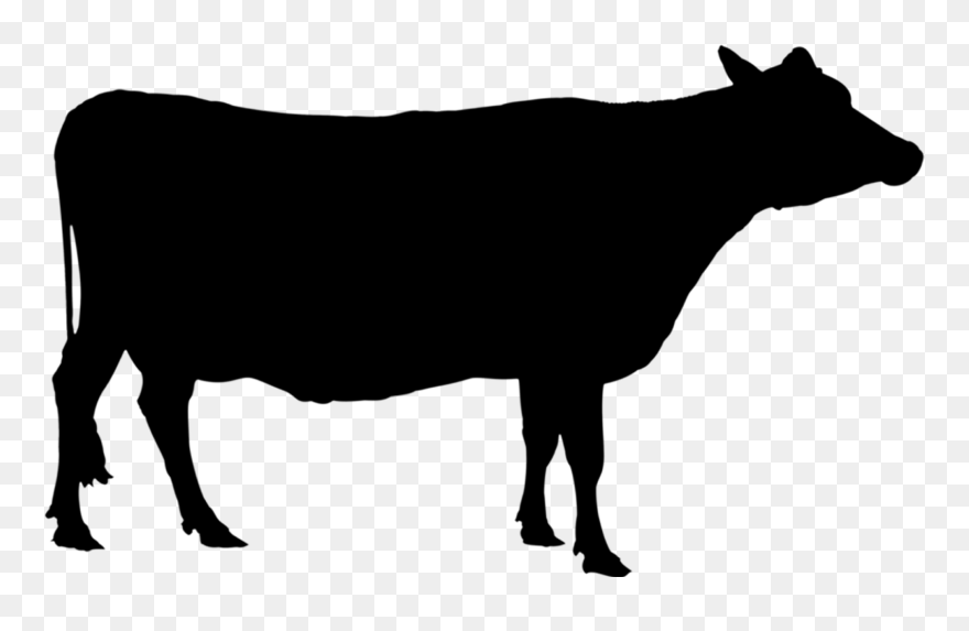 Angus Cattle Texas Longhorn Holstein Friesian Cattle - Silhouette Cow Clip Art - Png Download