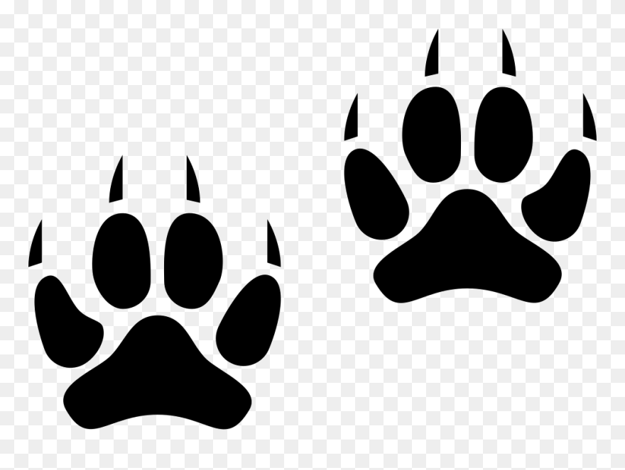 Cat Animal Track Labrador - Lynx Paws Print Png Clipart