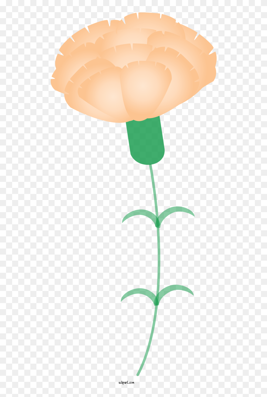 Transparent Holidays Plant Plant Stem Flower For Mothers - Tulip Clipart