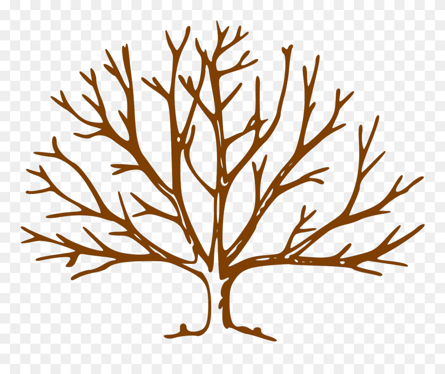 Winter Tree Drawing Easy Clipart