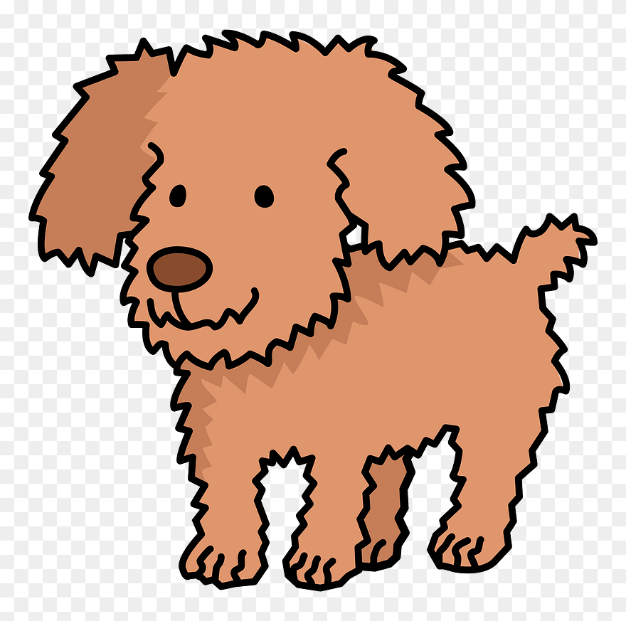 Poodle Dog Animal Clipart - Toy Dog Clipart - Png Download