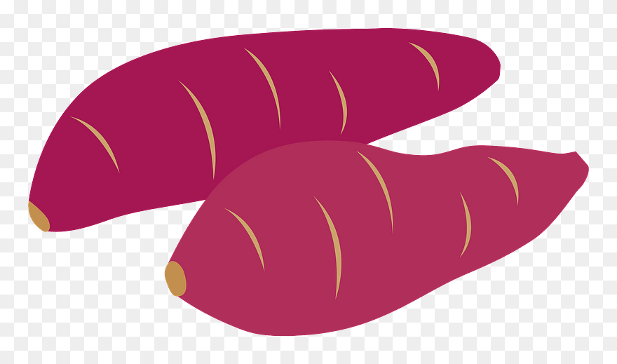 Sweet Potato Vegetable Clipart - 紅 はるか イラスト - Png Download