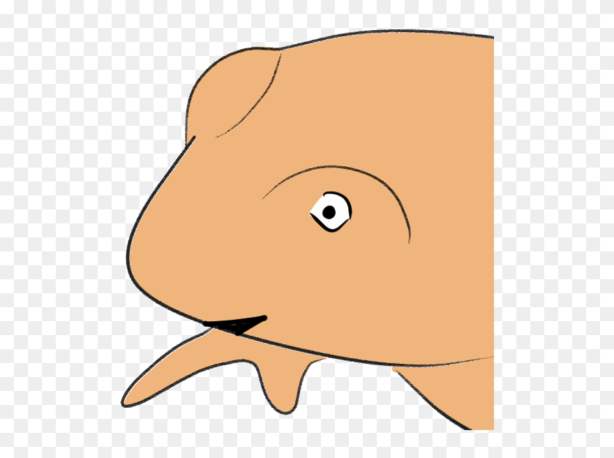 Clip Art - Png Download