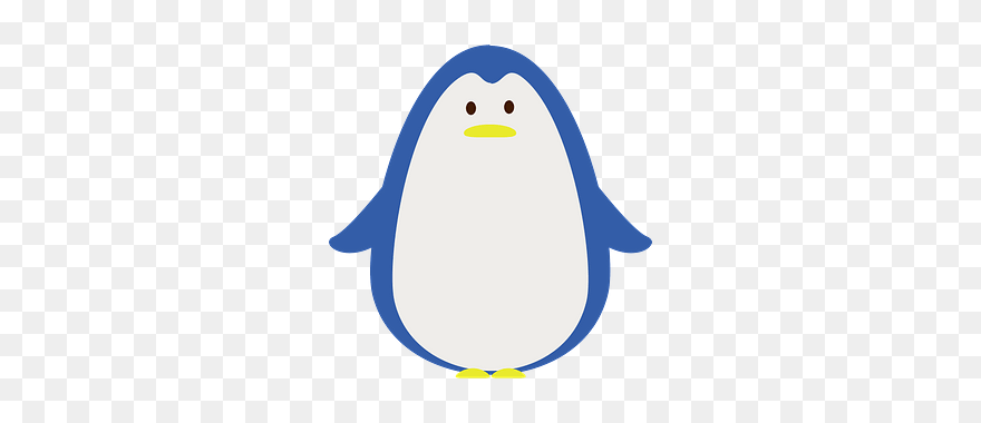 Penguin Bird Clipart - 動物 イラスト 可愛い ペンギン 無料 - Png Download