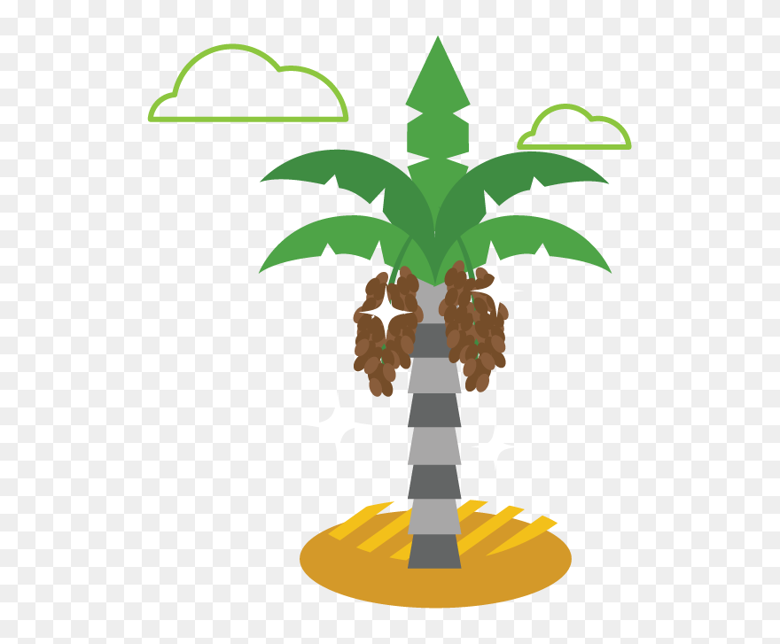 Kampoeng Kurma Clipart