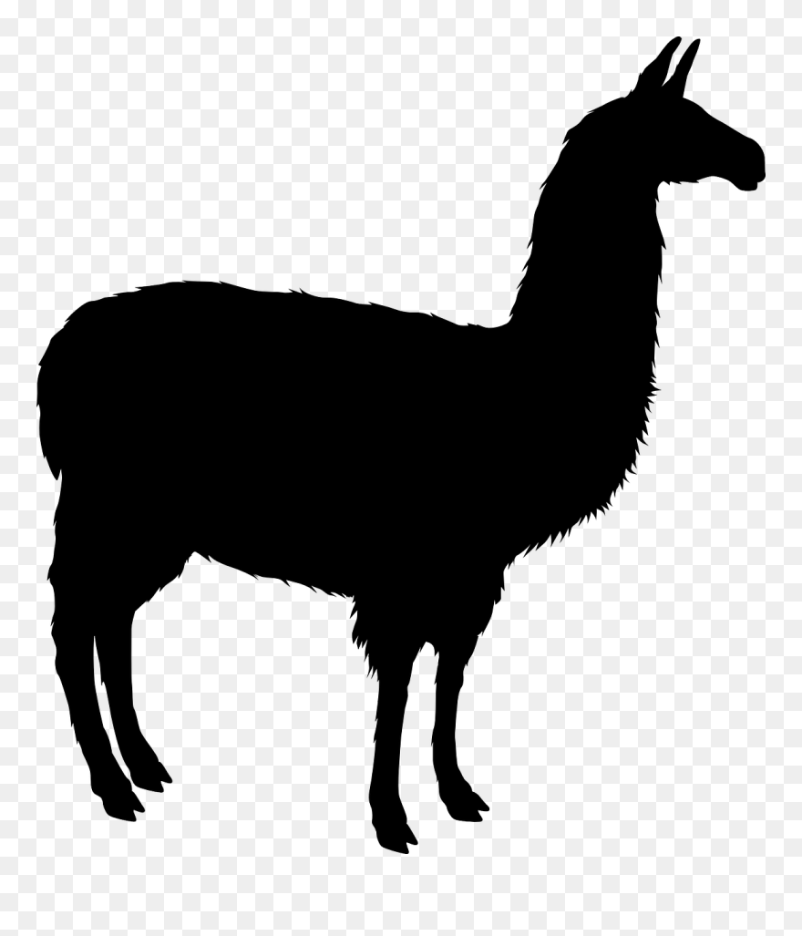 Llama Face Png Black - Llama Silhouette Png Clipart