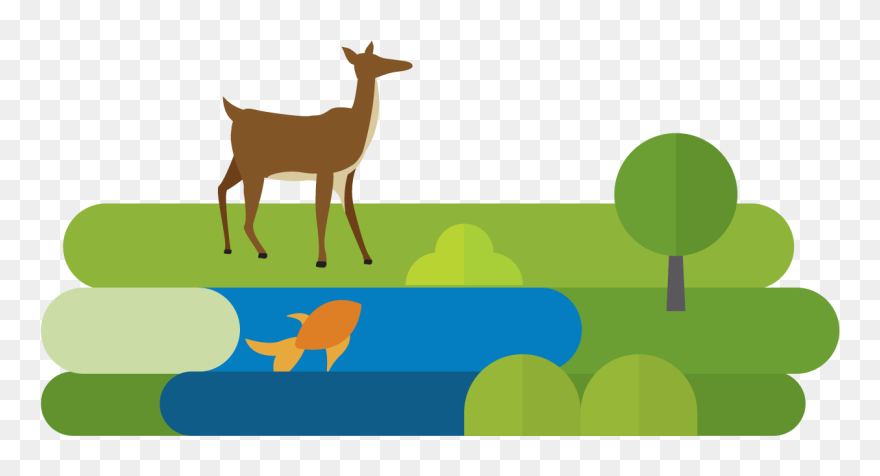 Messagepath4-deer - Roe Deer Clipart