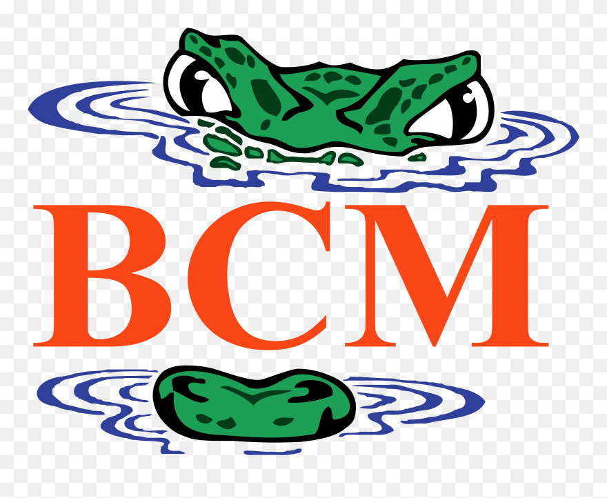 Beijing City International School Logo - Board Of Investment Of Sri Lanka Clipart