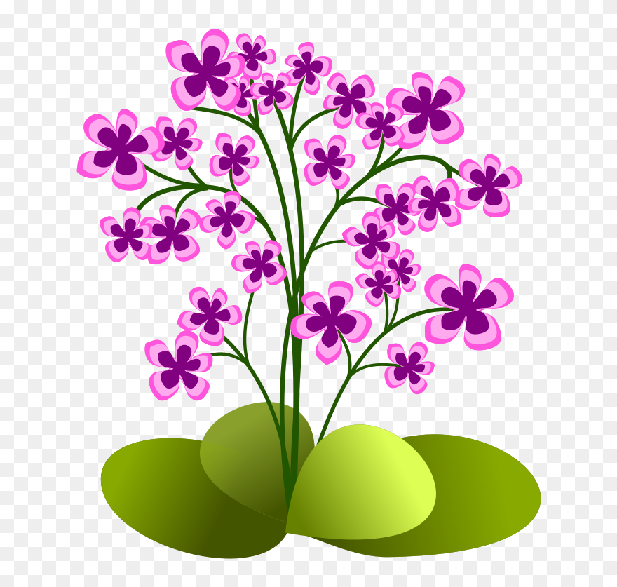Floral Clipart Greenery - Small Plant Clip Art - Png Download