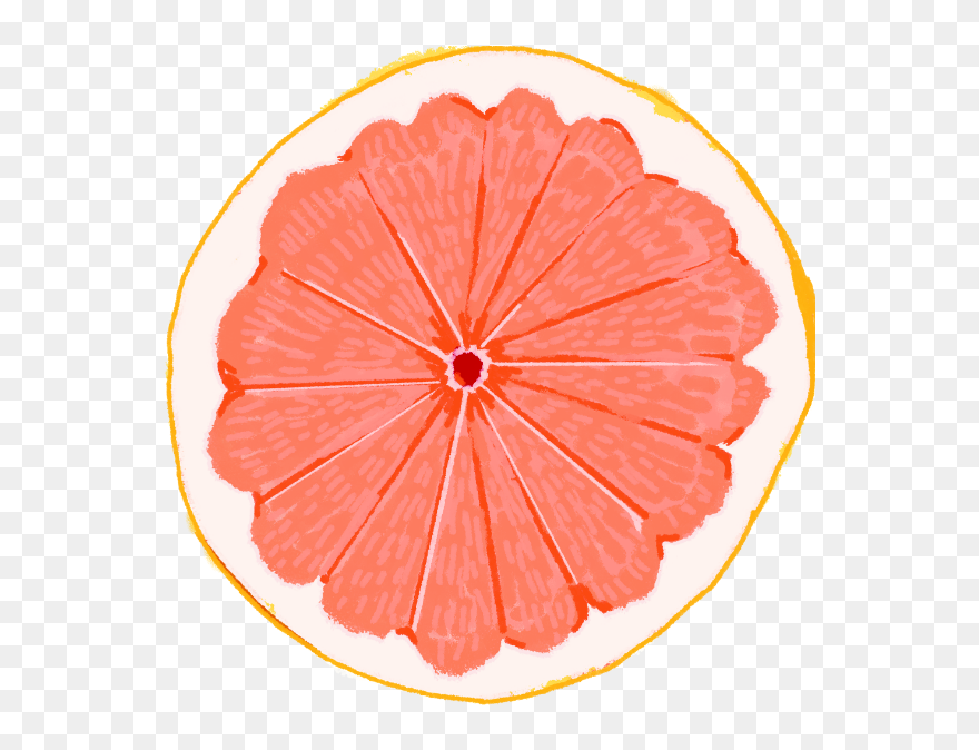 Cake Clipart
