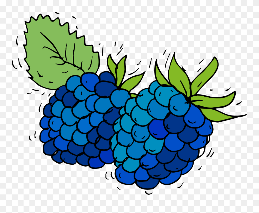 Seedless Fruit Clipart